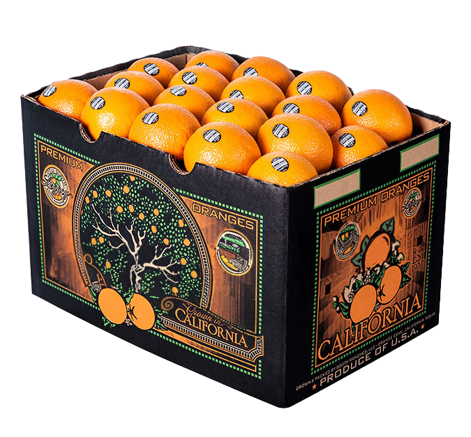 OrangeBox2024NoBG
